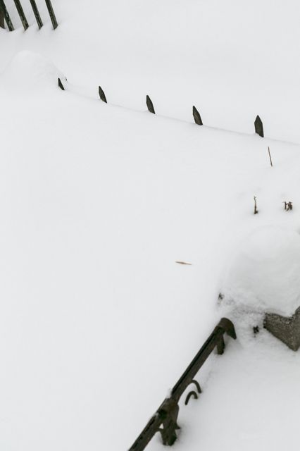 Sieranevada_DL0A0060